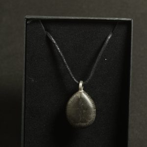 Fossilised sea Lilly