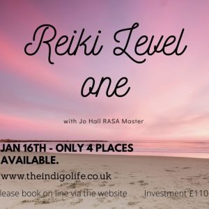 Reiki Level 1 January 16th